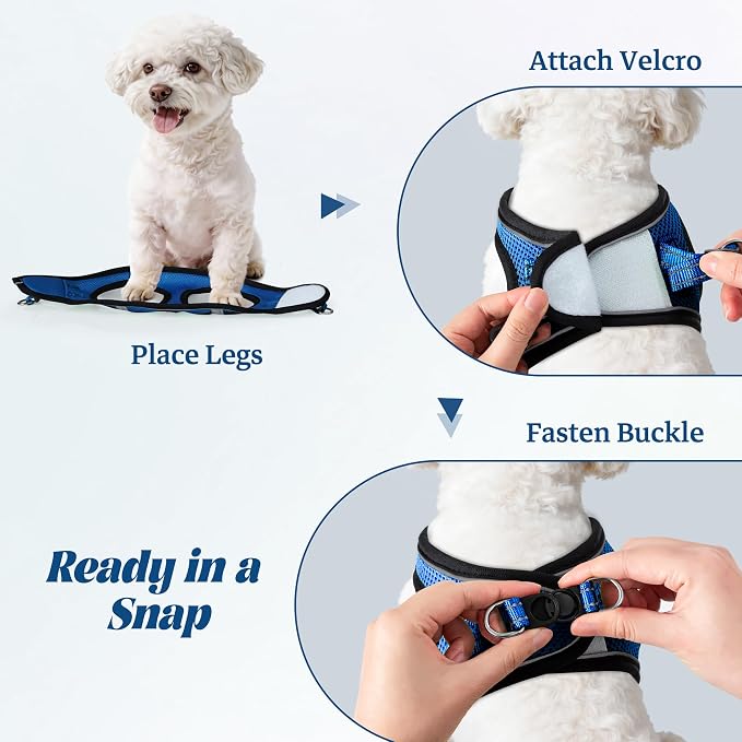 YIMEIS Dog Harness and Leash Set, No Pull Soft Mesh Pet Harness, Reflective Adjustable Puppy Vest for Small Medium Large Dogs, Cats (Royal Blue & Black, Medium (Pack of 1)