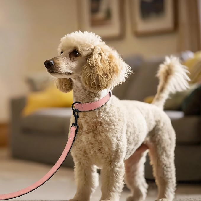 Didog Soft Padded PU Leather Dog Collar, Breathable and Adjustable Pink Dog Collars for Small Dogs, Comfortable for Daily Walk, Pink, M Fit Neck 11-14"(10-20 lbs)