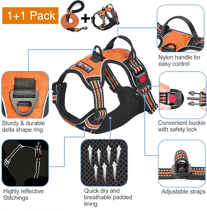 tobeDRI No Pull Dog Harness Adjustable Reflective Oxford Easy Control Medium Large Dog Harness with A Free Heavy Duty 5ft Dog Leash