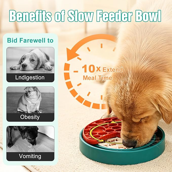 3-Level Slow Feeder Dog Bowl – Anti-Slip Interactive Feeder for Healthy & Calmer Eating, Reduces Boredom and Anxiety, Designed as Treat Puzzles for Small Medium & Large Dogs