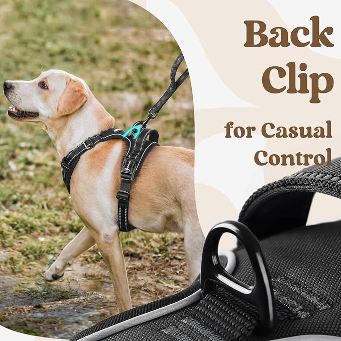 rabbitgoo Dog Harness for Large, No Pull Easy On & Off with 3 Buckles Pet Harness, Adjustable Soft Walking Vest with 2 Clips and Handle, Reflective for Extra Large Dogs, Black, XL