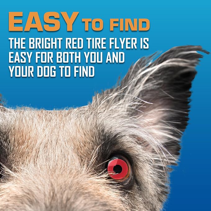 Nerf Dog Atomic Flyer Outdoor Dog Toy, 10 Inch Flying Disc Dog Fetch Toy, Rubber Dog Toy for Medium Dogs and Large Dogs, Red