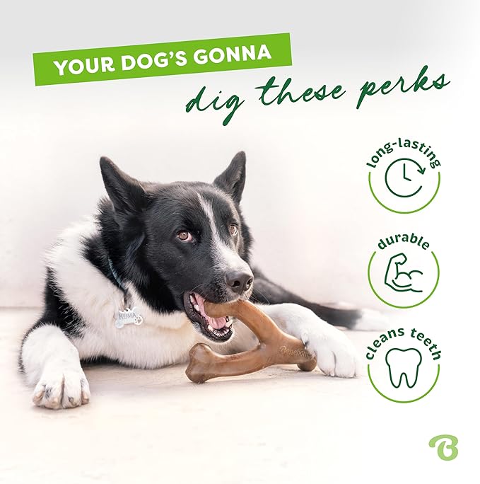 Benebone 3-Pack Wishbone Durable Dog Chew Toy for Aggressive Chewers, Variety Pack-Bacon, Chicken, Peanut Made in USA, Medium