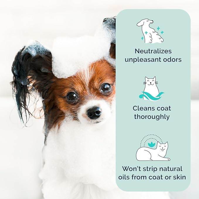 Hepper Deep Clean Pet Shampoo for Smelly Pets: Odor Control & Coat Care for All Breeds! Ideal for Short, Long, Double-Coated, and Smelly Pets