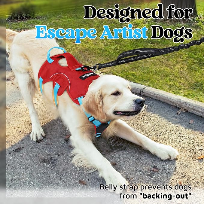 rabbitgoo Escape Proof Dog Harness Large Dogs, Soft Padded Full Body Pet Harness, Reflective Adjustable No Pull Vest with Lift Handle and Leash Clip for Walking Hiking Training, Blue & Red, M