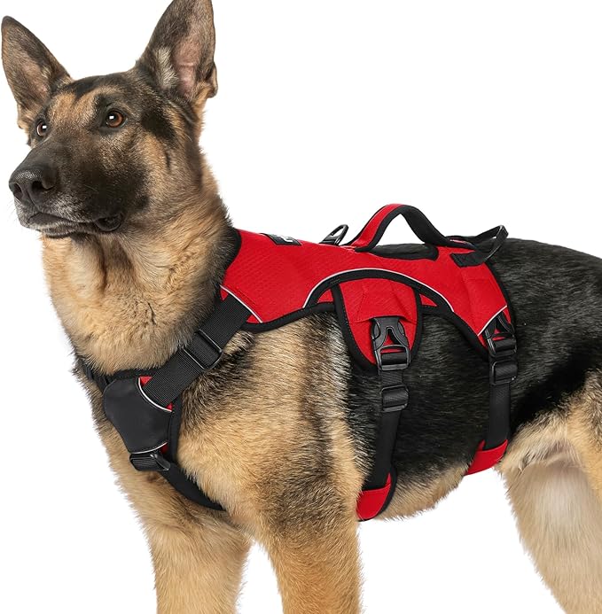 rabbitgoo Escape Proof Dog Harness, Soft Padded Full Body Pet Harness, Reflective Adjustable No Pull Vest with Lift Handle and Leash Clip for Large Dogs Walking Hiking Training, XL, Red
