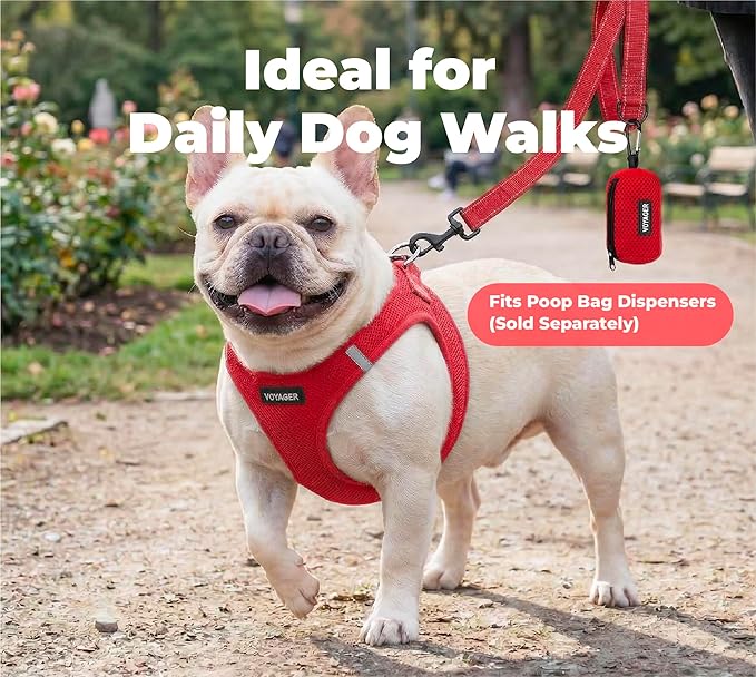 Best Pet Supplies Voyager Reflective Dog Leash or Collar with Neoprene Handle, for Small, Medium, and Large Breed Puppies, Cute and Heavy Duty for Walking, Running and Training - Red (Leash), M