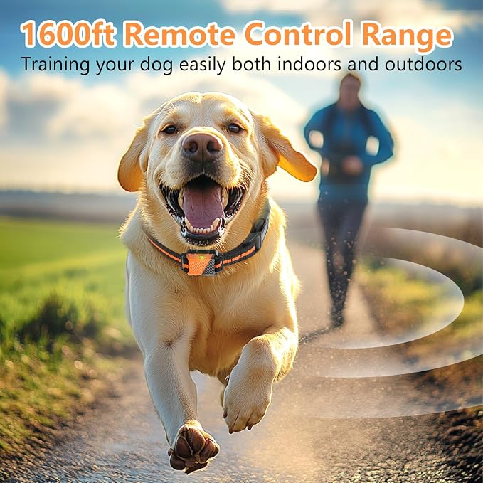 Shock Collar for Dogs, Dog Training Collar with Remote Control for 2 Dogs, 3 Training Modes with Beep, Vibration and Satic, Waterproof, Rechargeable for Large Medium