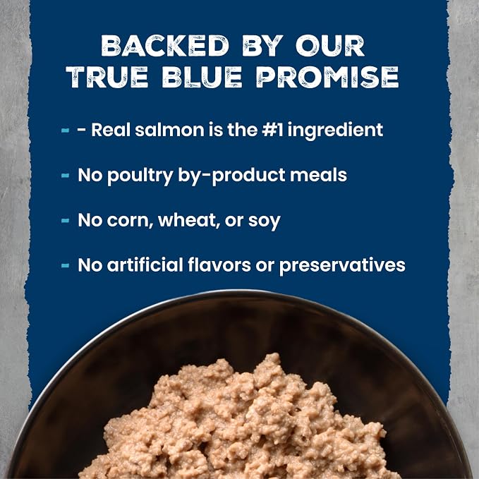 Blue Buffalo Wilderness Kitten Grain-Free Salmon Paté Wet Cat Food with DHA, High-Protein & Made with Natural Ingredients, Supports Healthy Growth & Development, 3-oz. Cans (24 Count)