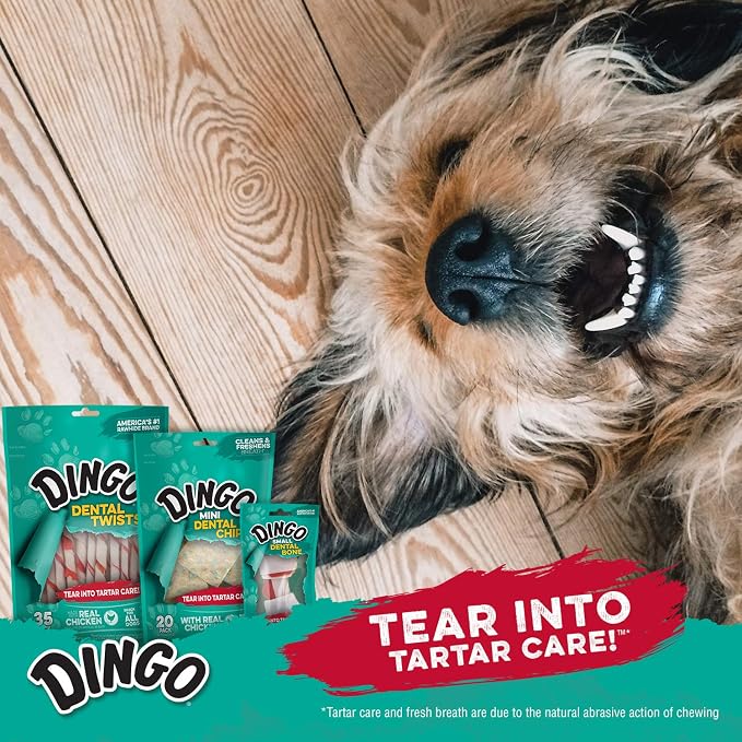 Dingo Dental Sticks 48 Count, Natural Chewing Action Helps Clean Teeth