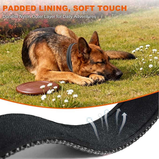 Taglory Reflective Dog Collar for Extra Large Dogs, Soft Neoprene Padded with Escape-Proof Locking Buckle, Upgraded Zinc Alloy Ring, Adjustable for Daily Walking, Black,XL