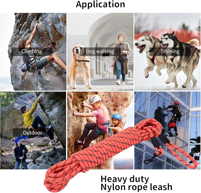 Long Dog Leash for Training 20Ft-Reflective Nylon Rope with Swivel Hook-Recall Agility Lead for Large Small Medium Dogs Outside Walking Hiking-Orange