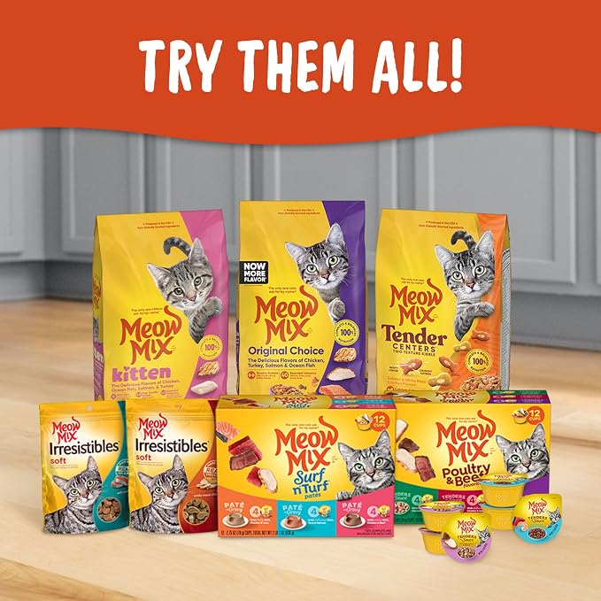 Meow Mix Irresistibles Soft Cat Treats Made with Real Salmon,3 Oz. Pouch,(Pack of 10)