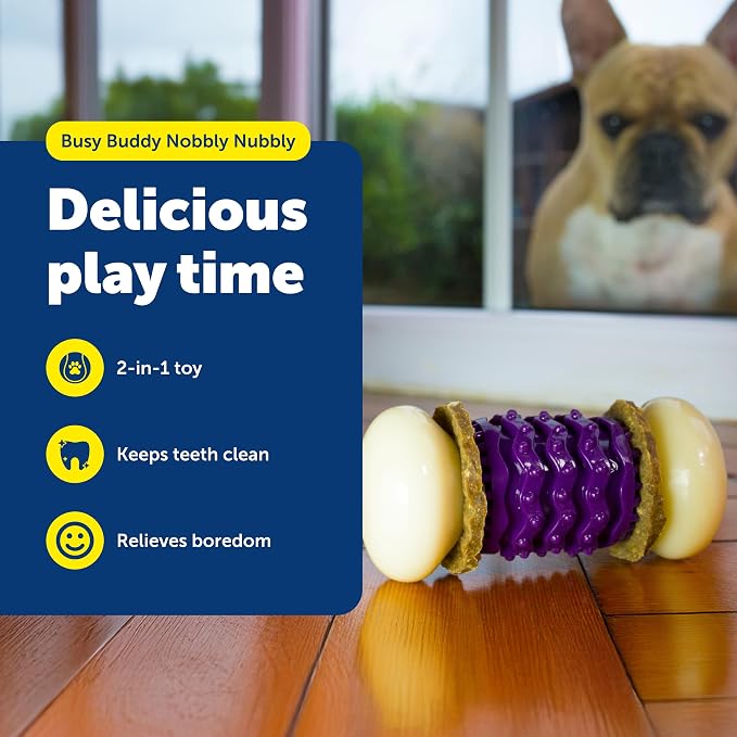 PetSafe Busy Buddy Nobbly Nubbly Treat Holding Dog Toy Strong Chewers Large