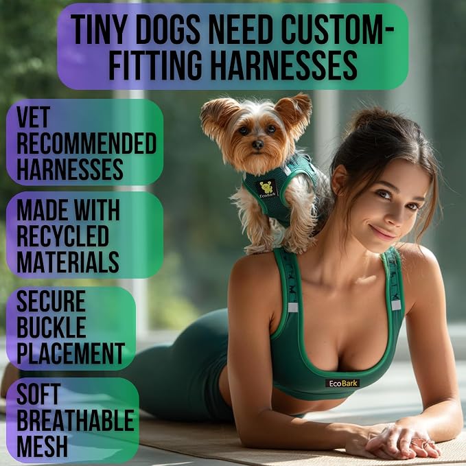 EcoBark Teacup Dog Harness - Luxury Step in Mesh Dog Harness in Forest Green - Soft & Secure Body Halter Vest
