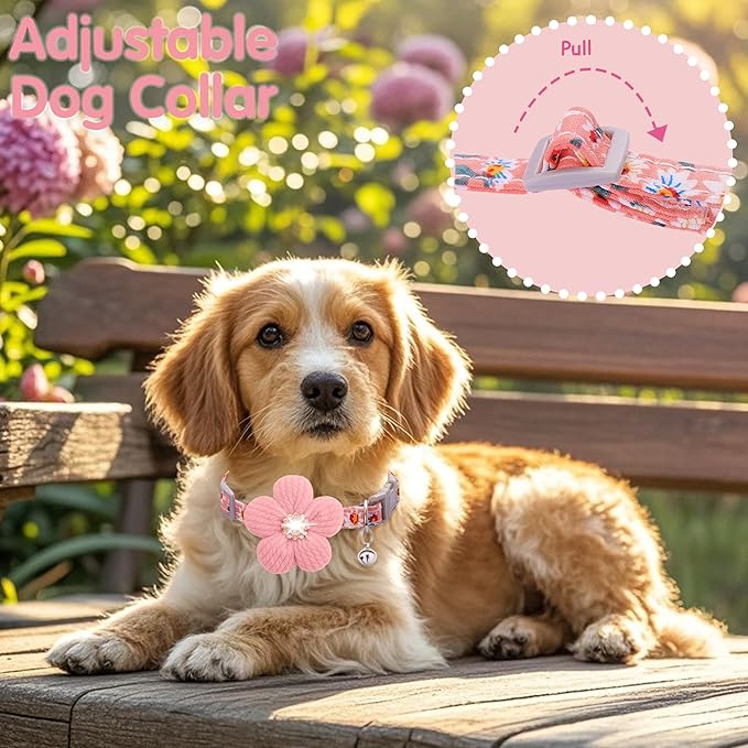 Small Dog Collar with Flower, Spring Dog Collar for Girl Dog Collars for Small Dogs Cute Dog Collar with Bell, Adjustable Length
