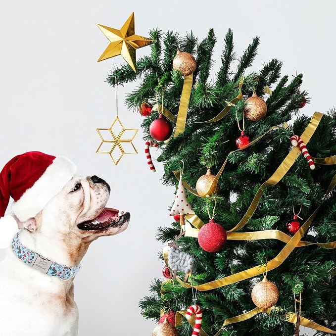 Christmas Dog Collar for Large Dogs - Design Cute Winter Holiday Collars Adjustable Blue Christmas Pet Metal Buckle Collar for Puppy Girl Boy Female Dogs L