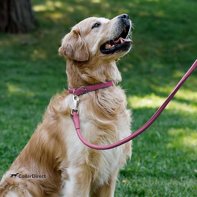 CollarDirect Rolled Leather Dog Collar, Soft Padded Round Puppy Collar, Handmade Genuine Leather Collar Dog Small Large Cat Collars 13 Colors (8-11 Inch, Pink Textured)