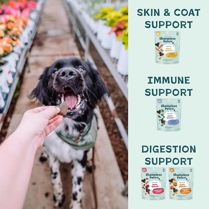 Shameless Pets Soft-Baked Dog Treats, Variety 5-Pack - Natural & Healthy Dog Chews for Small, Medium & Large Dogs - Biscuits Baked & Made in USA, Free from Grain, Corn & Soy