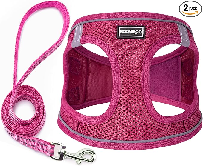 Dog Harness with Leash Set, No Pull Adjustable Reflective Step-in Puppy Pet Vest Harnesses for Small Medium Large Dogs and Cats,Rose Red XS