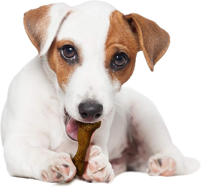 Nylabone Healthy Edibles WILD Natural Dog Chew Treats for Small Dogs, Long Lasting Dog Healthy Chew Bones Made in USA, Bison Flavor, For Dogs Up to 25 lbs. (8 Count)