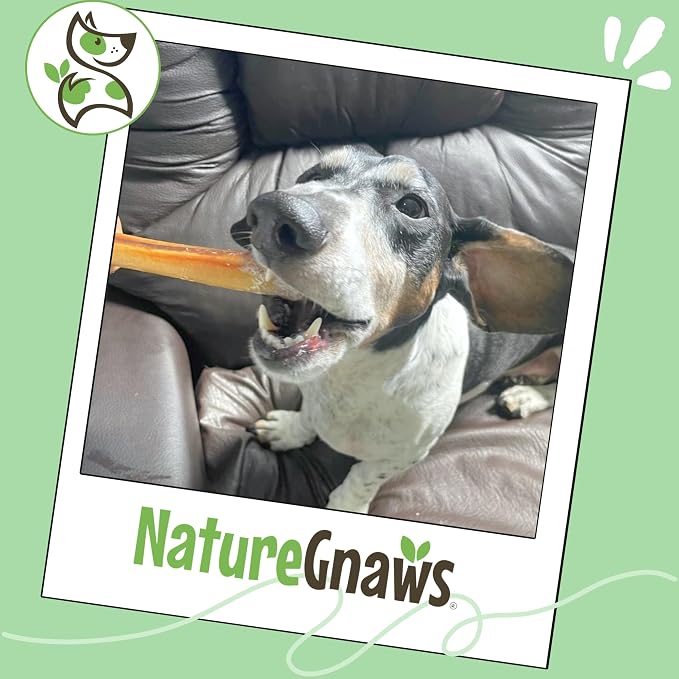 Nature Gnaws Small Bully Sticks for Dogs 5-6" (25 Count) - Long Lasting for Light Chewers and Puppies - Natural Thin Beef Dog Chew Bones - Rawhide Free