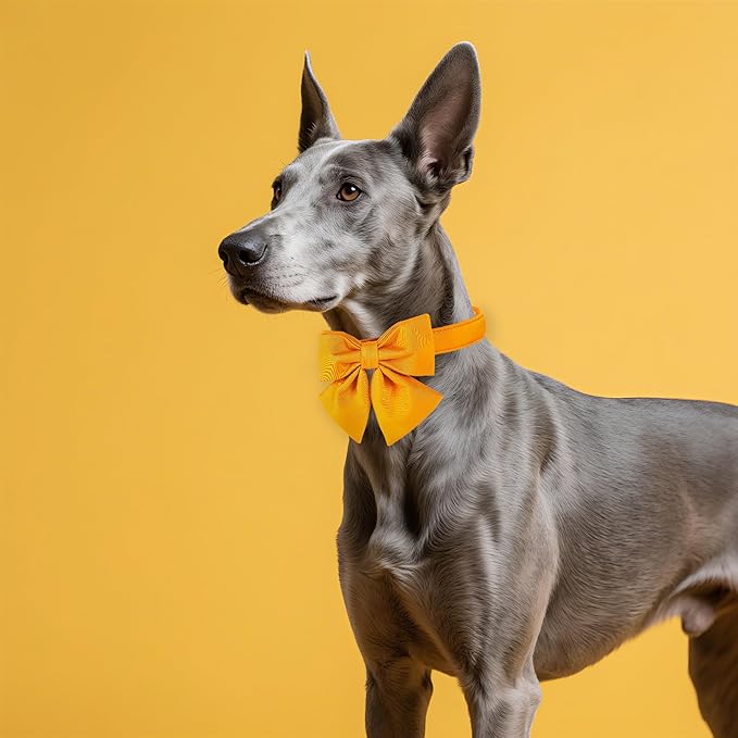 Maca Bates Mango Yellow Dog Collar with Cute Solid Sailor Bow Tie for Medium Girl Boy Dogs,Adjustbale Durable Breakaway Soft Collars with Bowtie for Female Male Puppy,Pet with Metal Buckle