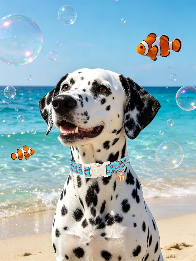 Maca Bates Summer Clownfish Basic Dog Collar Beach Puppy Collars for Small Dogs Adjustable Durable Soft Comfortable Blue Sharks for Boy Girl Male Female Pet with White Safety Buckle