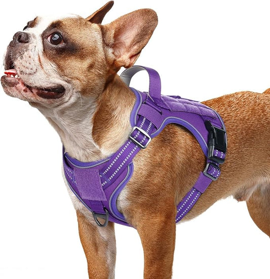 rabbitgoo Tactical Dog Harness for Small Dogs No Pull Adjustable Military Vest with Handle MOLLE Reflective Heavy Duty Dog Vest for Walking Training Hunting Outdoor Working Medium Size Dog Purple S