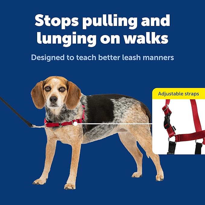 PetSafe Easy Walk No-Pull Dog Harness - Ultimate Harness to Help Stop Pulling - Pull-Free Walks - Take Control & Teach Better Leash Manners - Patented Martingale Loop Design - Red, Small/Medium