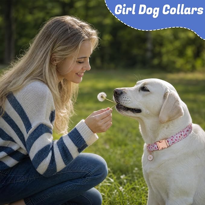 3 Pack Floral Dog Collars for Medium Dogs Flower Dog Collars with Pendant for Girl Female Dogs Cute Puppy Pet Collar (12-18.9 inch)