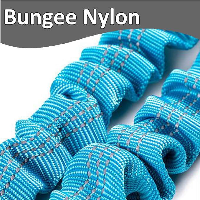 2FT Bungee Dog Leash, Highly Reflective Strong Nylon Traffic Leash, Shock Absorbing Short Pet Lead for Large Medium Dogs Walking Training Controlling, Blue