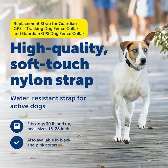 PetSafe Replacement Strap for Guardian GPS + Tracking Dog Fence Collar, Made with Soft-Touch Nylon for Enhanced Comfort and Long-Lasting Wear - Water-Wicking, Waterproof Material, Gray