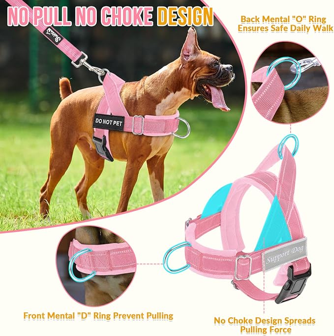 Lukovee No Pull Dog Harness and Leash Set - Adjustable Soft Padded Vest with Front Clip for Easy Control, Reflective Durable Harness for Safe Daily Training Walking for Medium Large Dogs (L, PI)