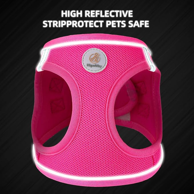 Hipubby Dog Harness and Leash Set, No Pull Soft Mesh Puppy Harness for Small Medium Dogs, Cats - Step in Reflective Breathable Lightweight Vest Harness for Walking, Training - Rose Red, M