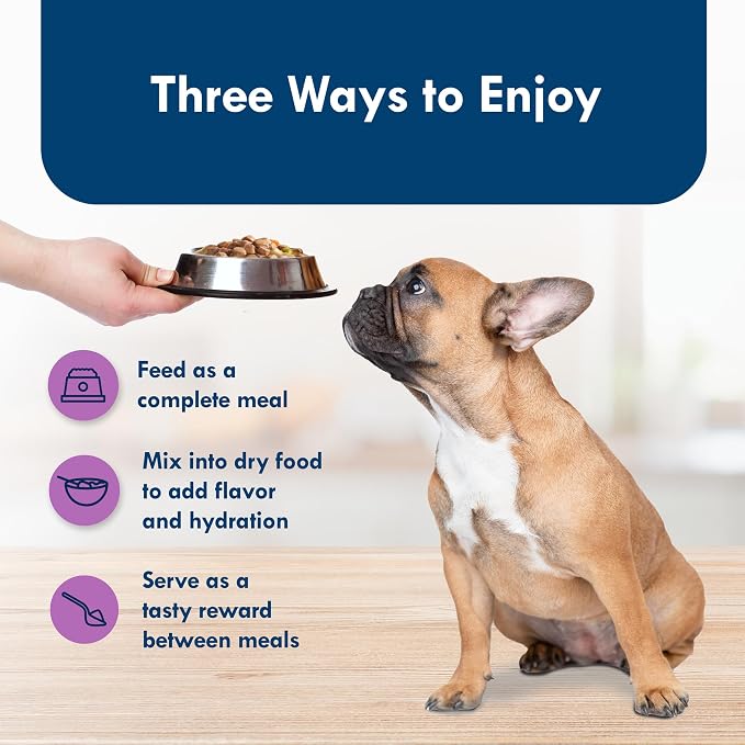 Blue Buffalo Delights Natural Adult Small Breed Wet Dog Food Cups, Pate Style, Top Sirloin Flavor in Savory Juice 3.5-oz (Pack of 12)
