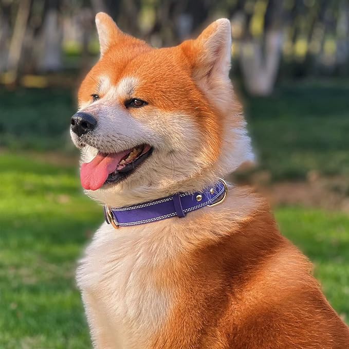Genuine Leather Dog Collar, Heavy Duty Dog Collar, Wide Dog Collar for Small, Medium, Large and Extra Large Dogs (L: 1.2" Wide for 16.2"-22" Neck, Dual Stitch - Purple)