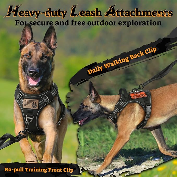 rabbitgoo Tactical Dog Harness for Small Dogs No Pull Adjustable Military Vest with Handle MOLLE Reflective Heavy Duty Dog Vest for Walking Training Hunting Outdoor Working Medium Size Dog Black S