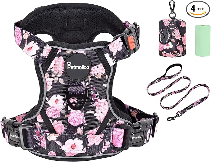 Petmolico No Pull Dog Harness Set with Leash Attachment Easy Control Handle Reflective Harness Vest Small Breed, Puppy Vest and Leash Set with Poop Bag Holder, XL - Pink Rose