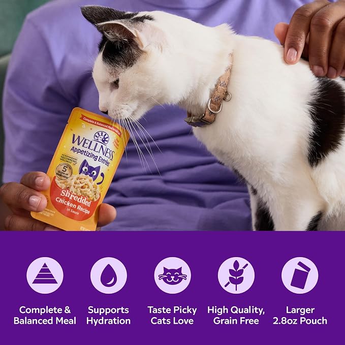 Wellness Appetizing Entrées Shredded Adult Wet Cat Food, Natural, Protein Rich, Grain Free, Chicken Recipe, 2.8 oz, Pack of 8 Pouches