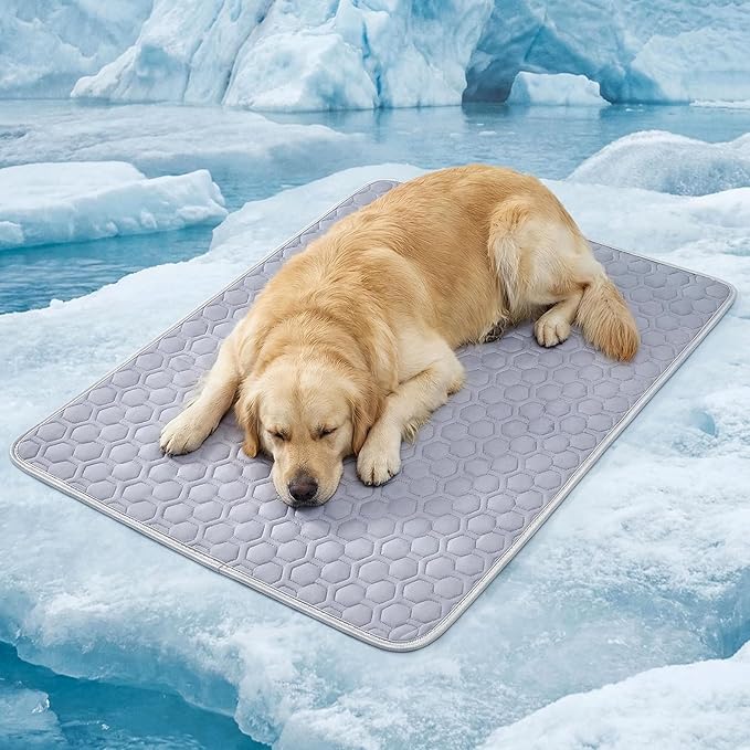 HAOMAIJIA Pet Cooling Mat for Dogs Thick Soft Washable Dog Cooling Mat Indoor Upgrade Waterproof Non-Slip Self Cooling Pad for Dog and Cat (Grey, 39'' x 59'' XX-Large)