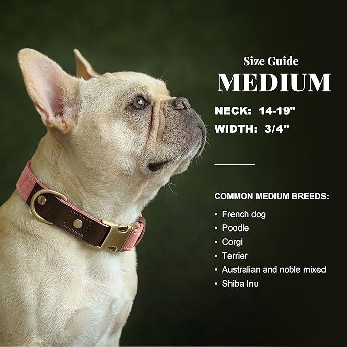 Didog Soft PU Leather Dog Collars for Medium Dogs,Classic Adjustable Dog Collars with Quick Release Metal Buckle,Easy Clean and Comfortable with Nylon Lining,Pink,M Neck 14-19"
