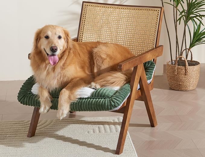 Couch Cushion Cover for dogs Sofa Cover Washable Pet Love Seat Couch Covers for Sofa Slipcovers Couch Protector Blanket for Dogs Sofa Cushion Covers for Pets Washable Pad Green 70x70cm/27.6x27.6in
