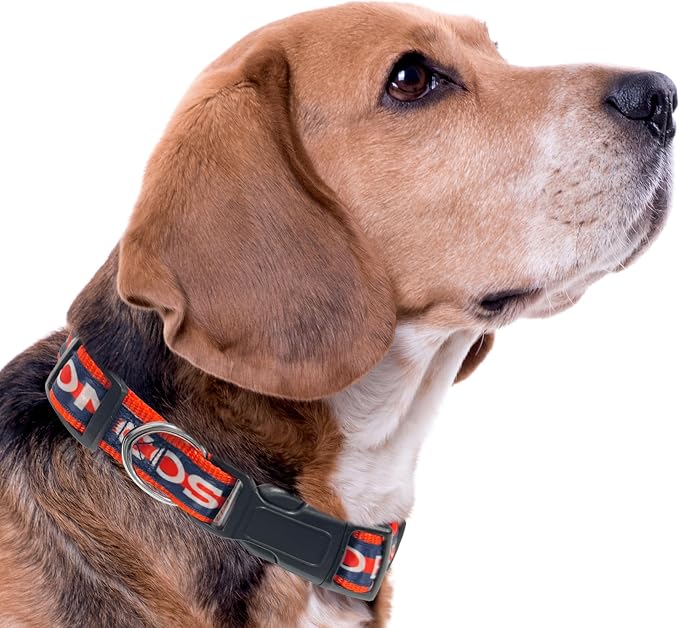 Pets First NFL Denver Broncos Licensed PET COLLAR, Medium - Heavy-Duty, Strong, and Durable Dog Collar. Available in 31 Football Teams and 4 Sizes