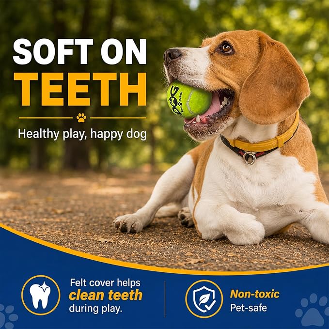 INSUM Squeaky Tennis Balls for Dogs - 12 Pack 2.5'' Durable Non-Toxic Outdoor Dog Toys Balls with Mesh Bag, SGS Certified, Colorful Fetch Toys, Medium Large Breeds
