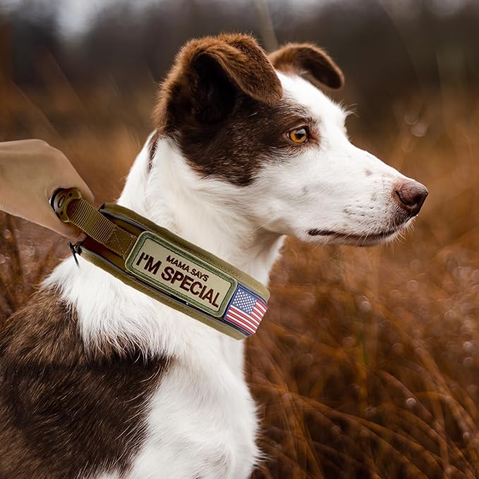 Tactical Dog Collar with Handle for Medium Dogs, 2.5"Wide Thick Heavy Duty Metal Buckle Dog Collar with Soft Neoprene Padded Lining, Military Service Reflective Collar for Training (Khaki,M)