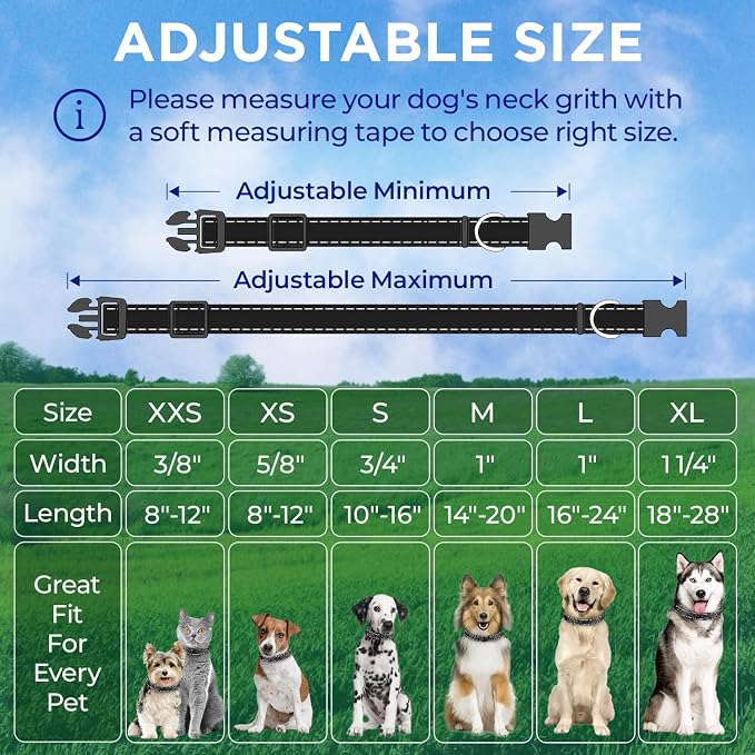 TECEUM Reflective Dog Collar – Black – M – Extra Soft Padding – Basic Nylon Pet Collar – Quick Release Buckle – Fits Small, Medium and Large Dogs, Puppies, Cats – ESA & Service Dog Options