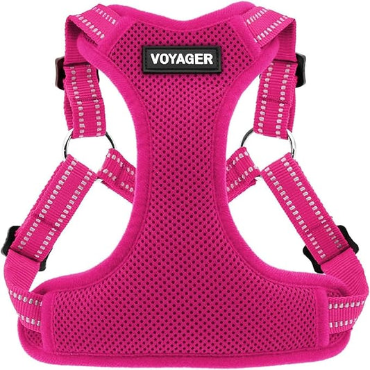 Best Pet Supplies Voyager Adjustable Step-in Flex Breathable Mesh Dog Harness for Small Medium Large Dogs (Fuchsia), M