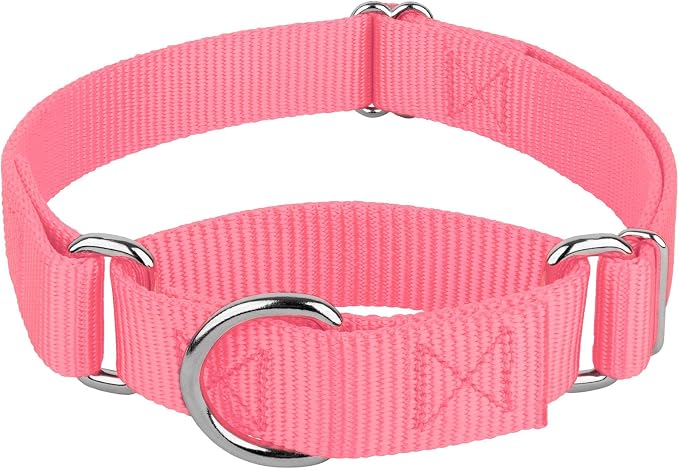 Country Brook Petz - Martingale Dog Collar - Heavy-Duty Training Collar with No Buckle - Service Dog Collar for All Pups - 20 Vibrant Colors (Pink, 1 Inch, Extra Large)