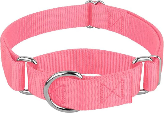 Country Brook Petz - Martingale Dog Collar - Heavy-Duty Training Collar with No Buckle - Service Dog Collar for All Pups - 20 Vibrant Colors (Pink, 3/8 Inch, 2XS)